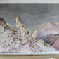 1919 THE WILDERNESS OF THE UPPER YUKON by C.Sheldon ILLUSTRATED antique
