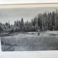1919 THE WILDERNESS OF THE UPPER YUKON by C.Sheldon ILLUSTRATED antique