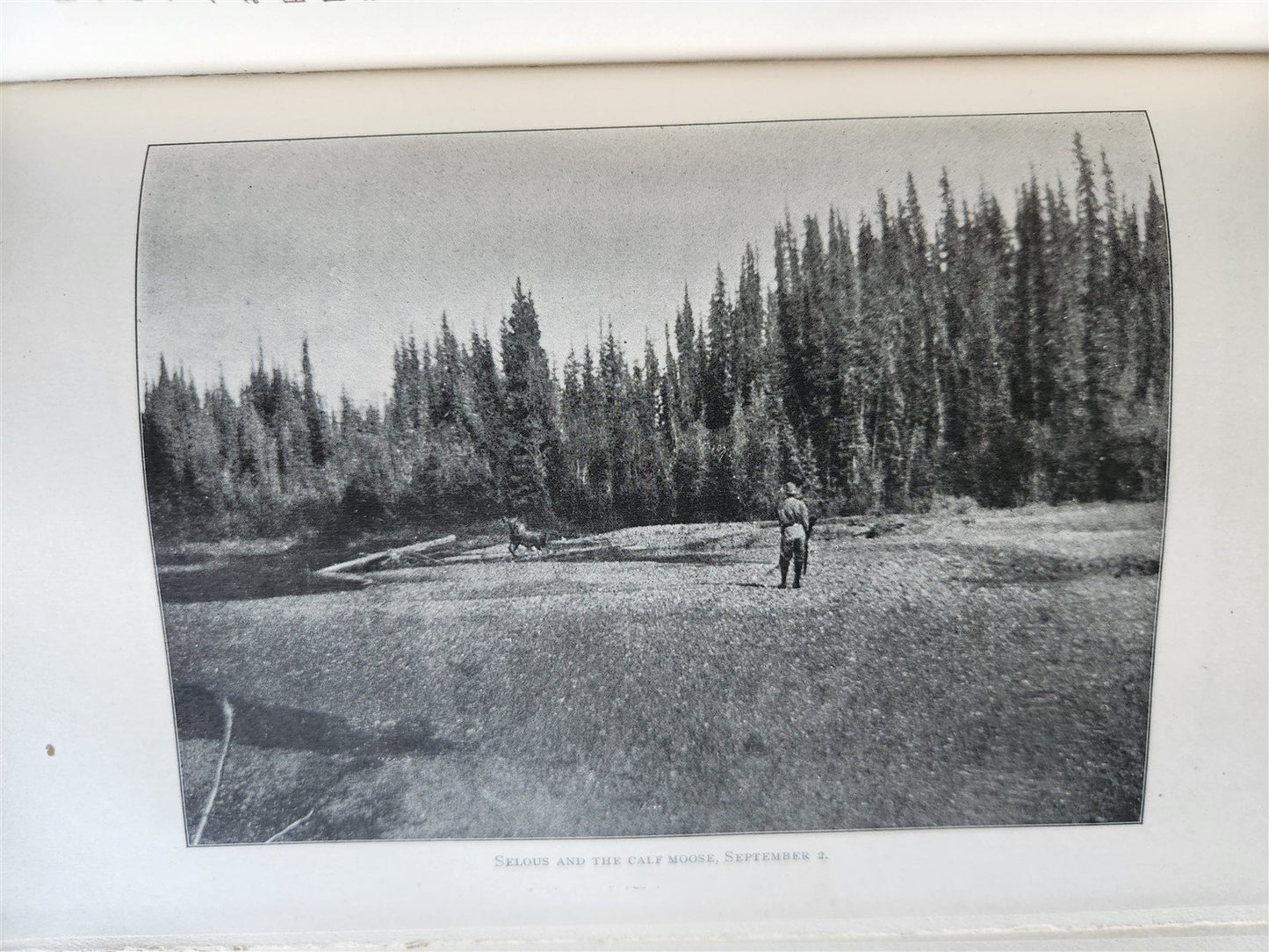 1919 THE WILDERNESS OF THE UPPER YUKON by C.Sheldon ILLUSTRATED antique