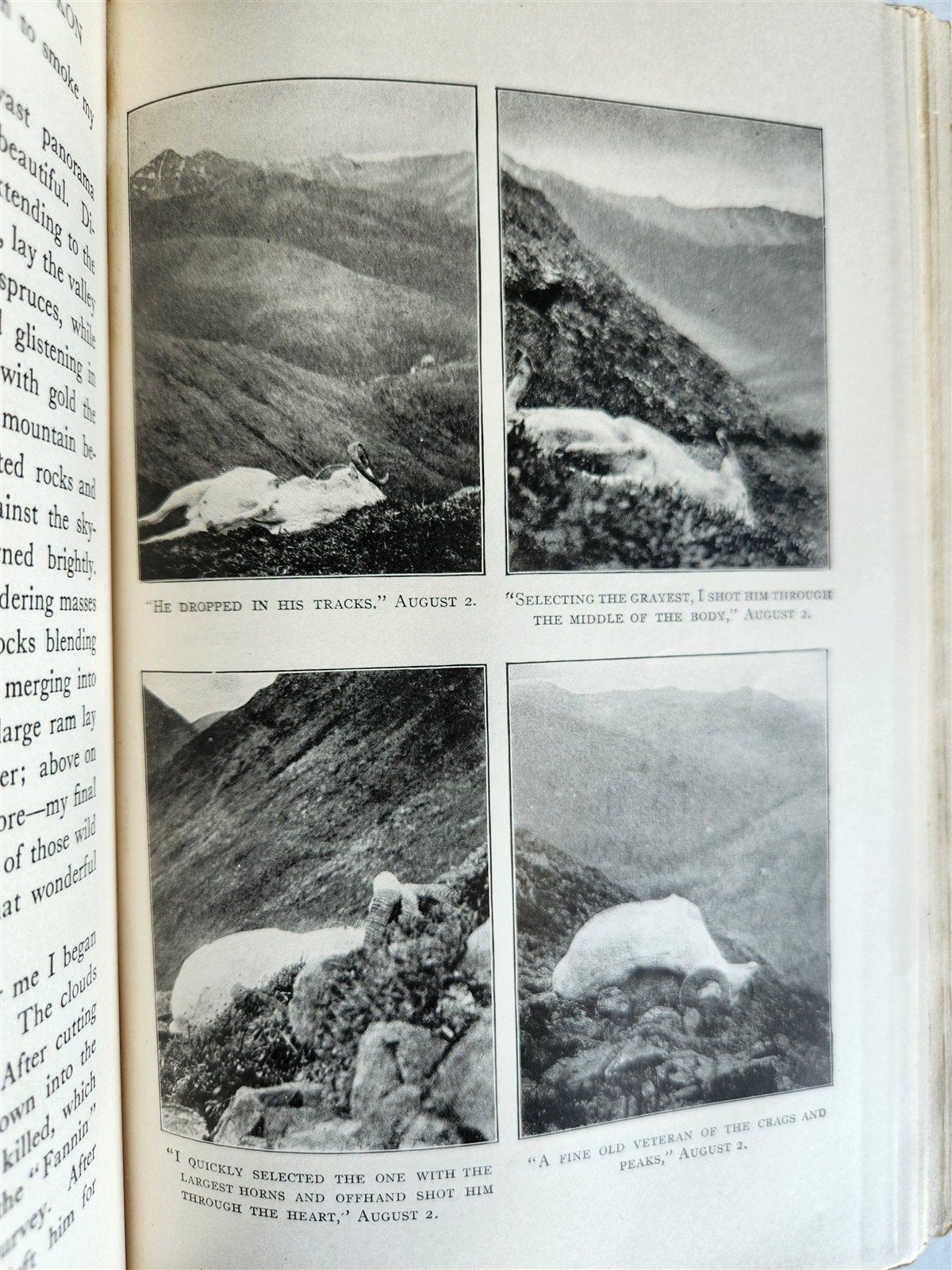 1919 THE WILDERNESS OF THE UPPER YUKON by C.Sheldon ILLUSTRATED antique