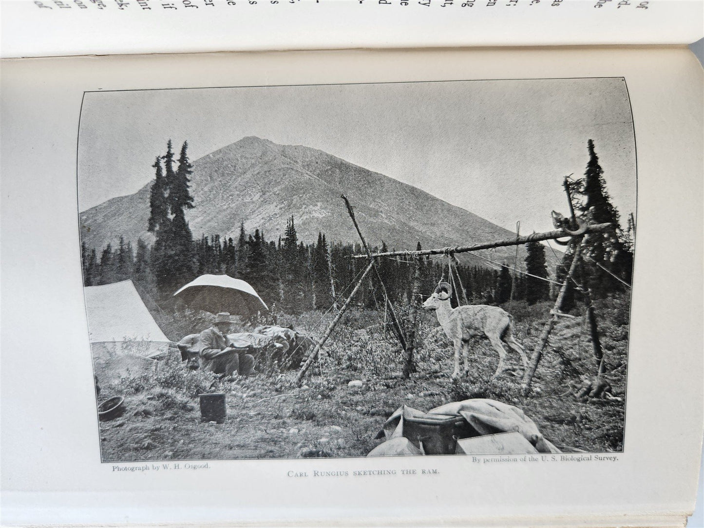 1919 THE WILDERNESS OF THE UPPER YUKON by C.Sheldon ILLUSTRATED antique