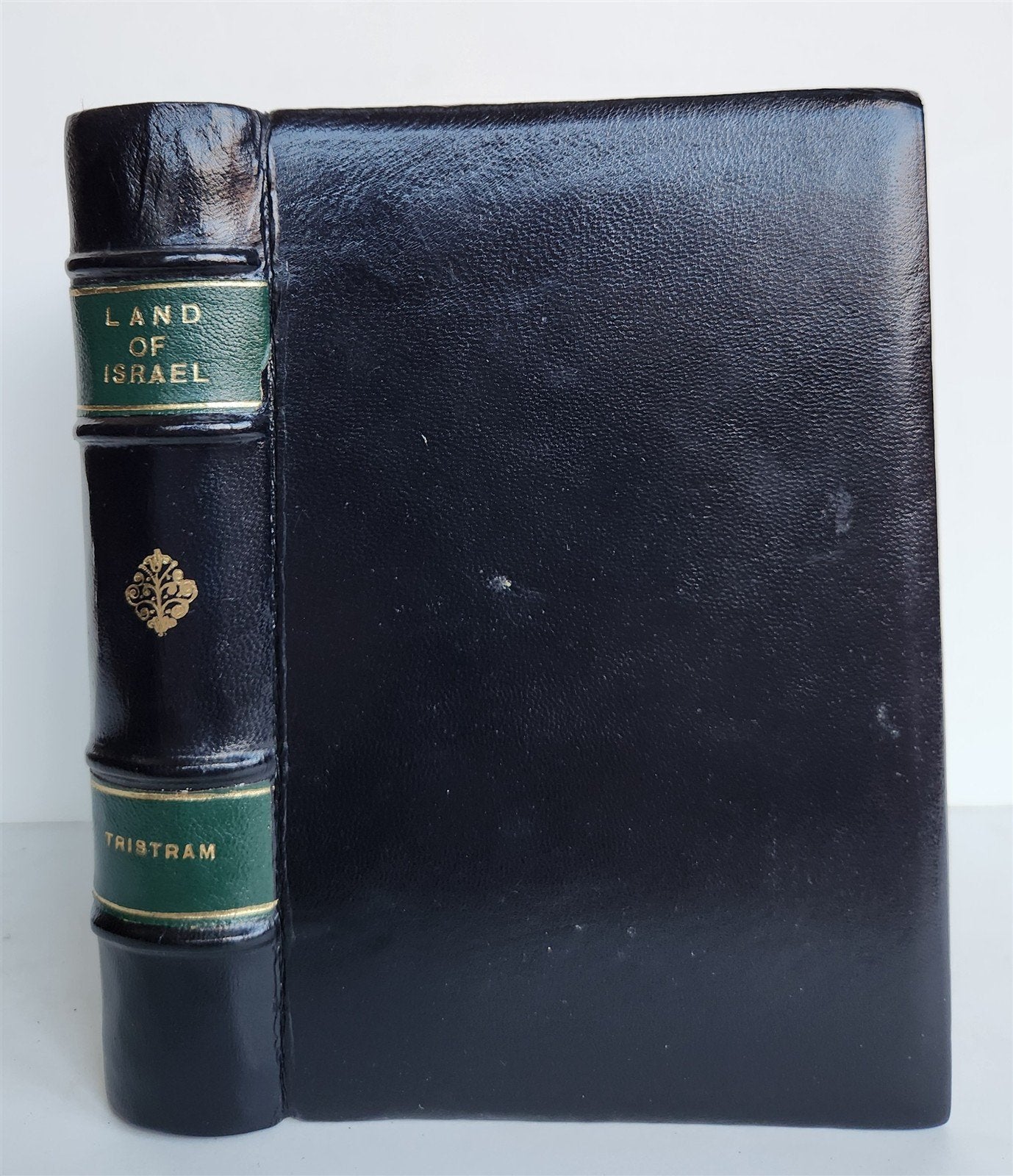 1876 THE LAND OF ISRAEL JOURNAL OF TRAVELS in PALESTINE ILLUSTRATED antique