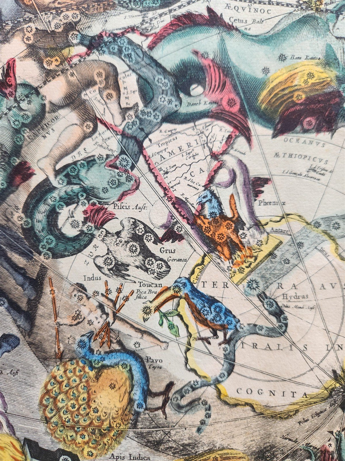 VINTAGE CELESTIAL MAP by CELLARIUS w/ ZODIAC SIGNS of SOUTHERN HEMISPHERE
