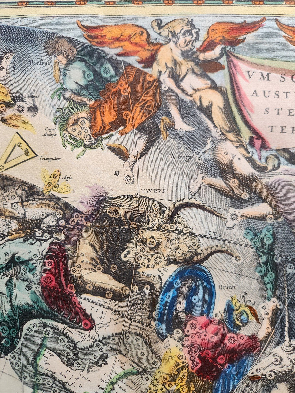 VINTAGE CELESTIAL MAP by CELLARIUS w/ ZODIAC SIGNS of SOUTHERN HEMISPHERE