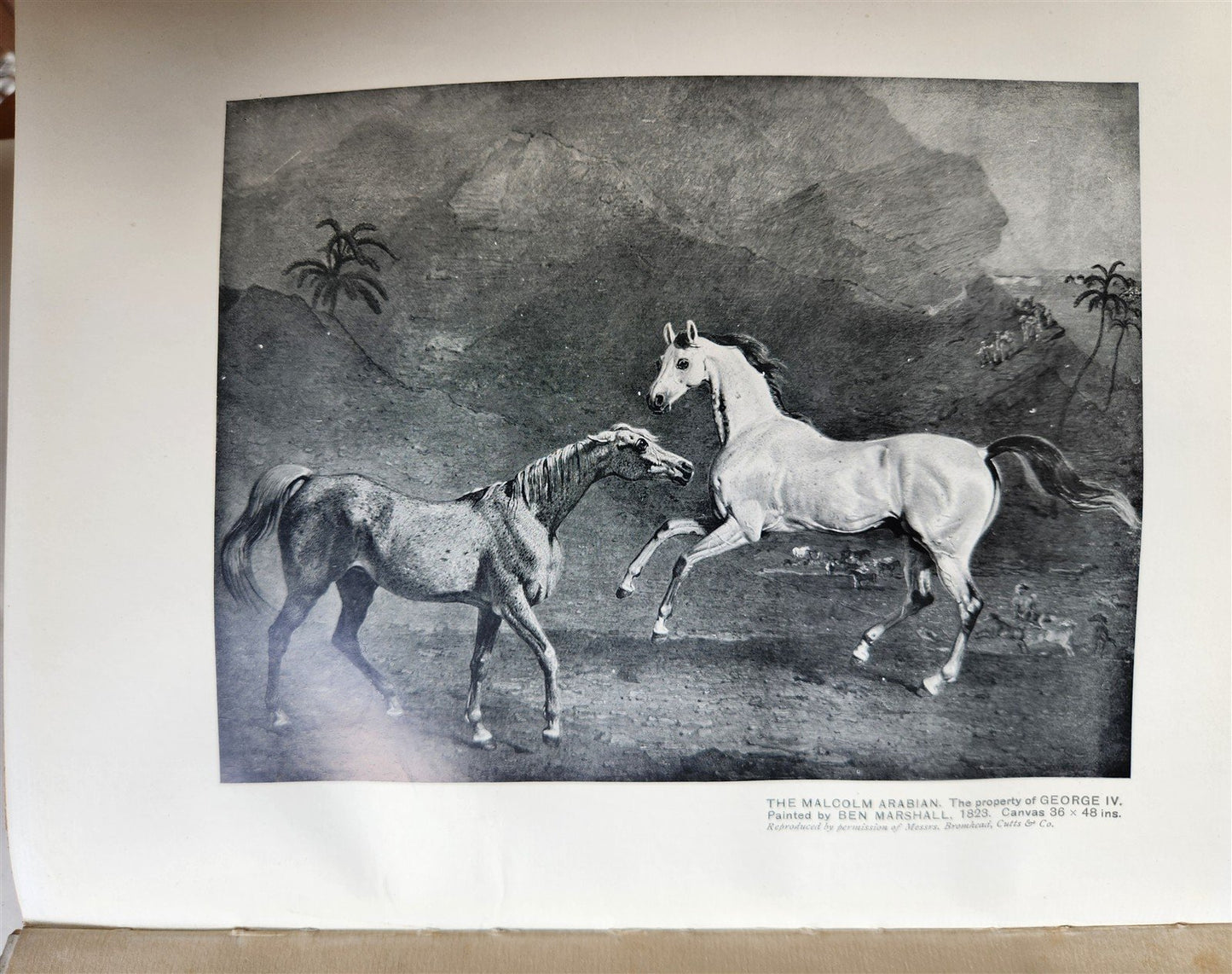 1922 BRITISH SPORTING ARTISTS antique ILLUSTRATED