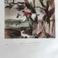 1922 BRITISH SPORTING ARTISTS antique ILLUSTRATED