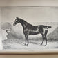 1889 IN THE NORTH COUNTREE ANNALS of HORSE HOUND & HERD antique ILLUSTRATED