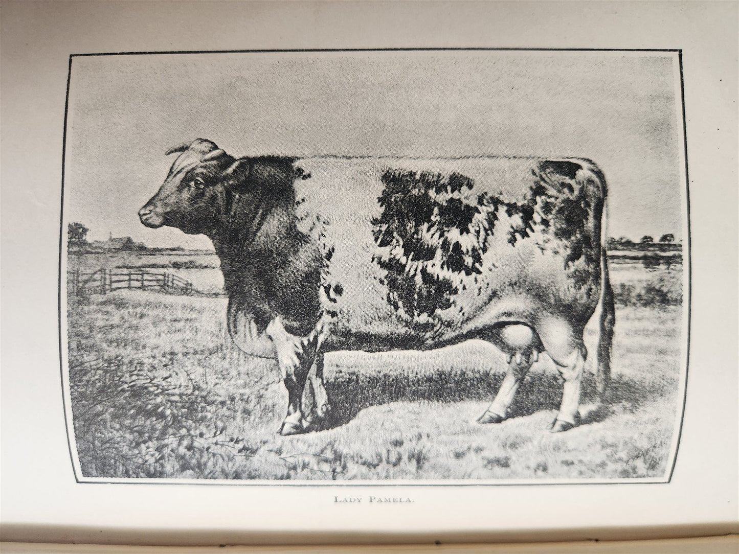 1889 IN THE NORTH COUNTREE ANNALS of HORSE HOUND & HERD antique ILLUSTRATED