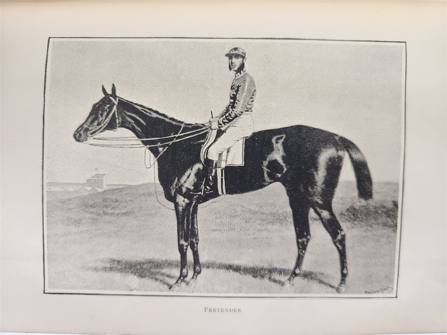 1889 IN THE NORTH COUNTREE ANNALS of HORSE HOUND & HERD antique ILLUSTRATED
