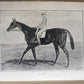 1889 IN THE NORTH COUNTREE ANNALS of HORSE HOUND & HERD antique ILLUSTRATED