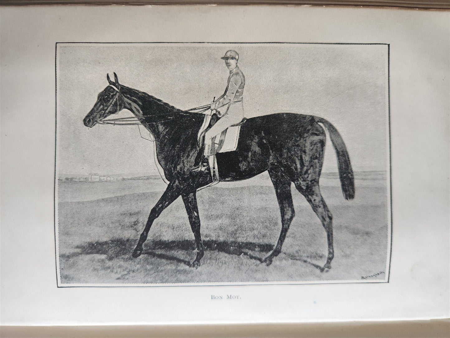 1889 IN THE NORTH COUNTREE ANNALS of HORSE HOUND & HERD antique ILLUSTRATED