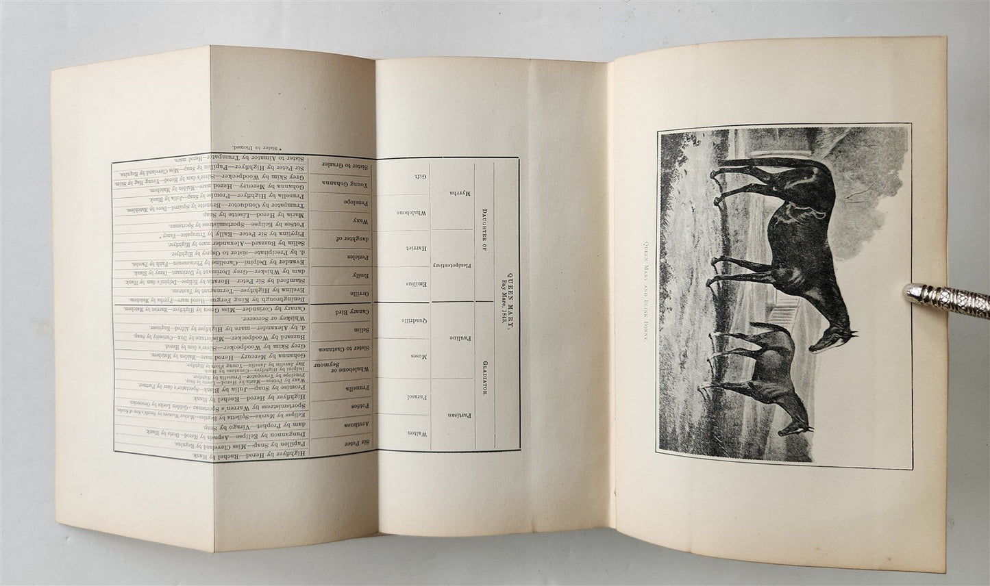 1889 IN THE NORTH COUNTREE ANNALS of HORSE HOUND & HERD antique ILLUSTRATED