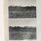 1910 AFRICAN GAME TRAILS by THEODORE ROOSEVELT antique ILLUSTRATED