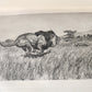 1910 AFRICAN GAME TRAILS by THEODORE ROOSEVELT antique ILLUSTRATED