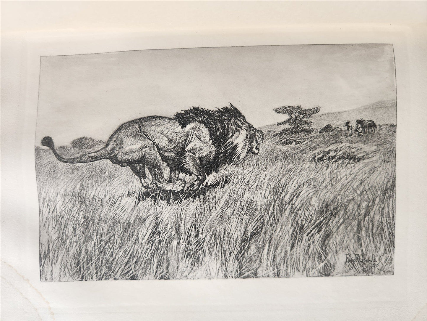 1910 AFRICAN GAME TRAILS by THEODORE ROOSEVELT antique ILLUSTRATED