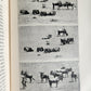 1910 AFRICAN GAME TRAILS by THEODORE ROOSEVELT antique ILLUSTRATED
