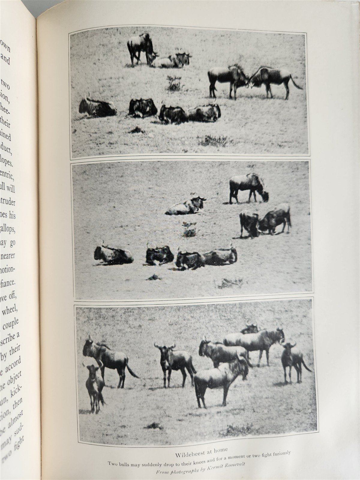 1910 AFRICAN GAME TRAILS by THEODORE ROOSEVELT antique ILLUSTRATED