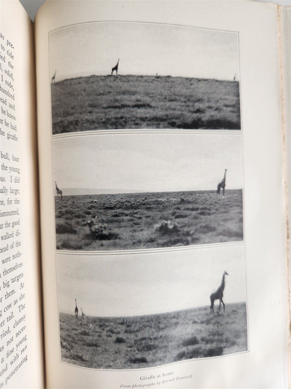 1910 AFRICAN GAME TRAILS by THEODORE ROOSEVELT antique ILLUSTRATED