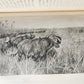1910 AFRICAN GAME TRAILS by THEODORE ROOSEVELT antique ILLUSTRATED