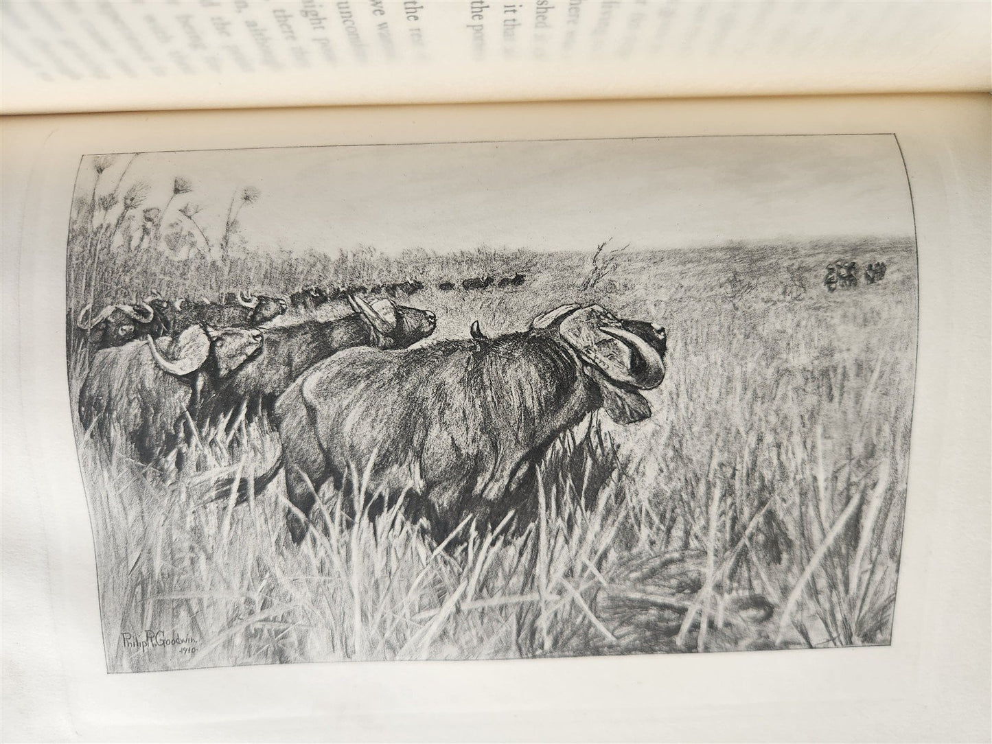 1910 AFRICAN GAME TRAILS by THEODORE ROOSEVELT antique ILLUSTRATED