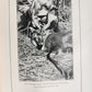 1910 AFRICAN GAME TRAILS by THEODORE ROOSEVELT antique ILLUSTRATED