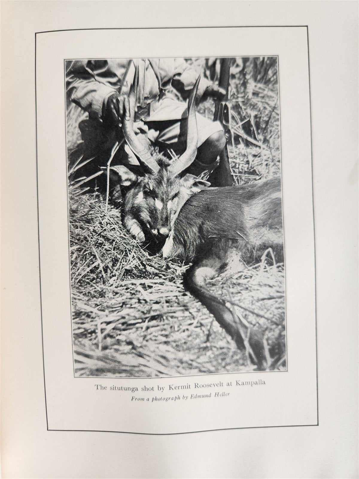 1910 AFRICAN GAME TRAILS by THEODORE ROOSEVELT antique ILLUSTRATED