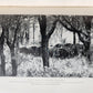 1910 AFRICAN GAME TRAILS by THEODORE ROOSEVELT antique ILLUSTRATED