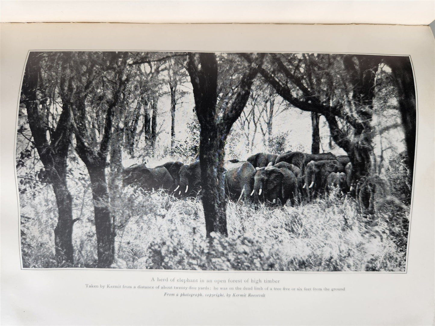 1910 AFRICAN GAME TRAILS by THEODORE ROOSEVELT antique ILLUSTRATED