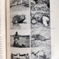 1910 AFRICAN GAME TRAILS by THEODORE ROOSEVELT antique ILLUSTRATED