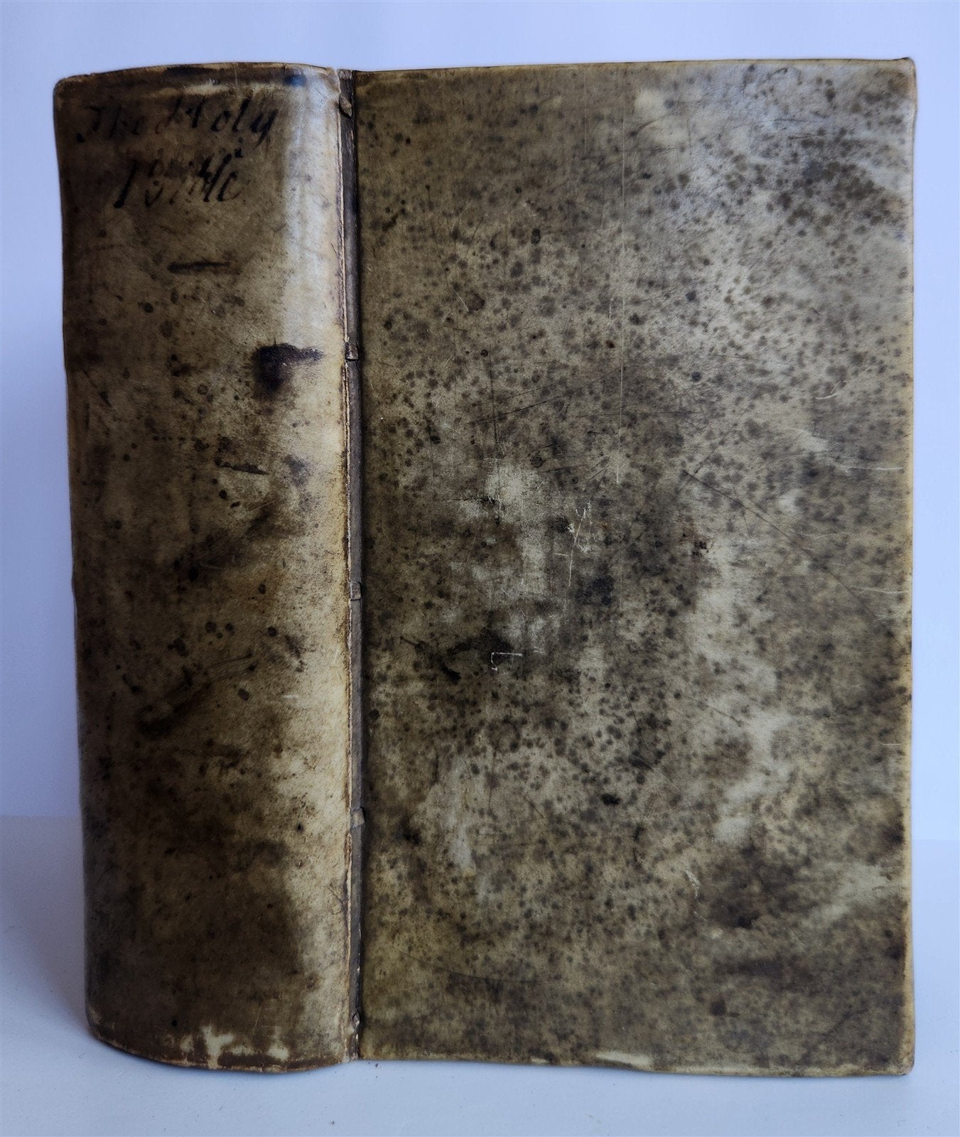1684 BIBLE in ENGLISH antique VELLUM BOUND LONDON 17th CENTURY