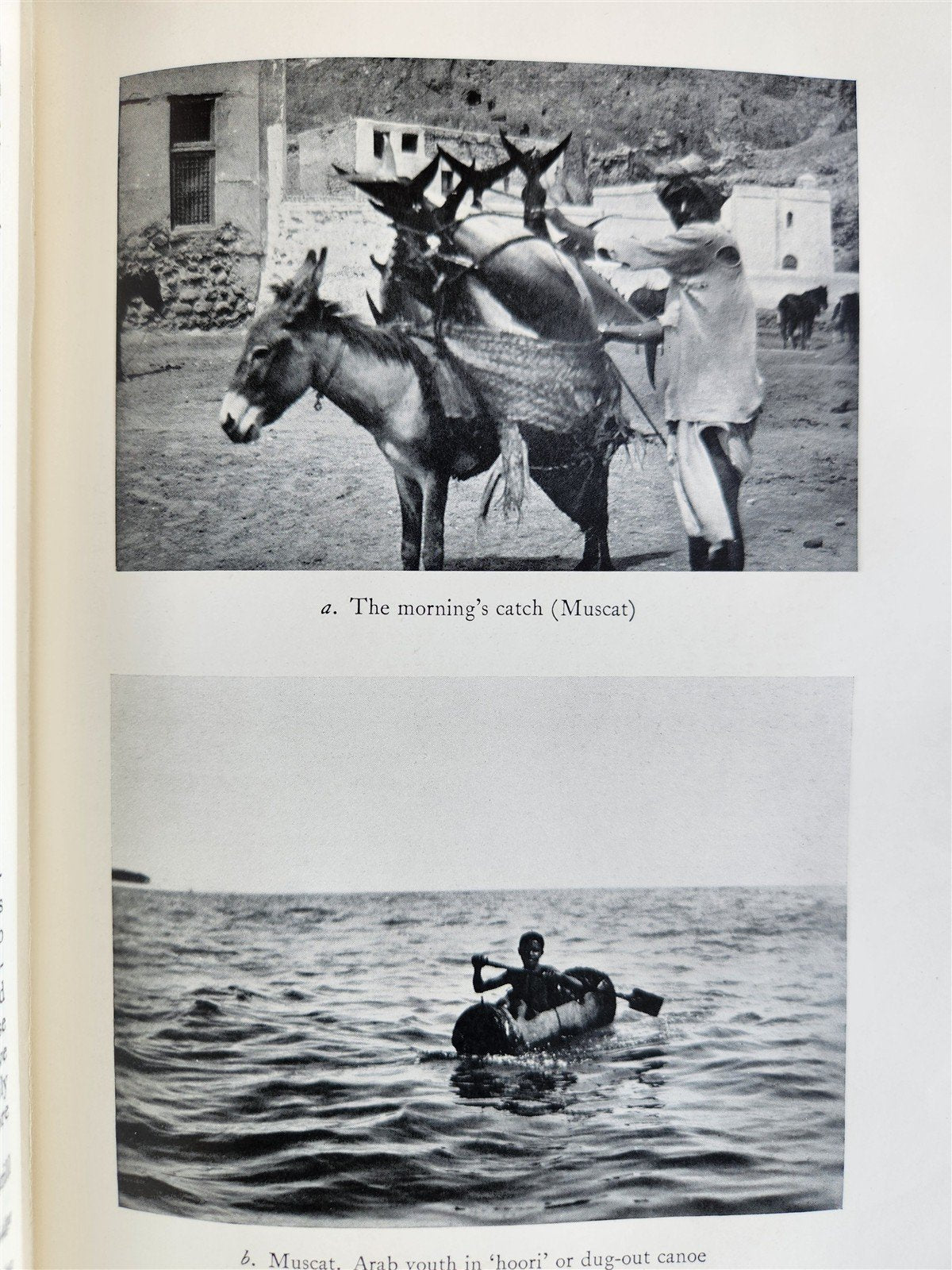 1928 THE PERSIAN GULF by ARNOLD WILSON antique