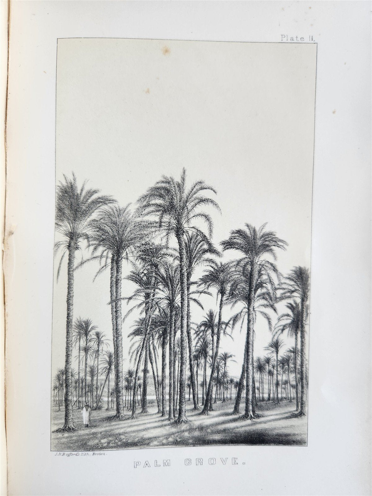 1864 DALETH or THE HOMESTEAD OF THE NATIONS EGYPT ILLUSTRATED by E.CLARK antique