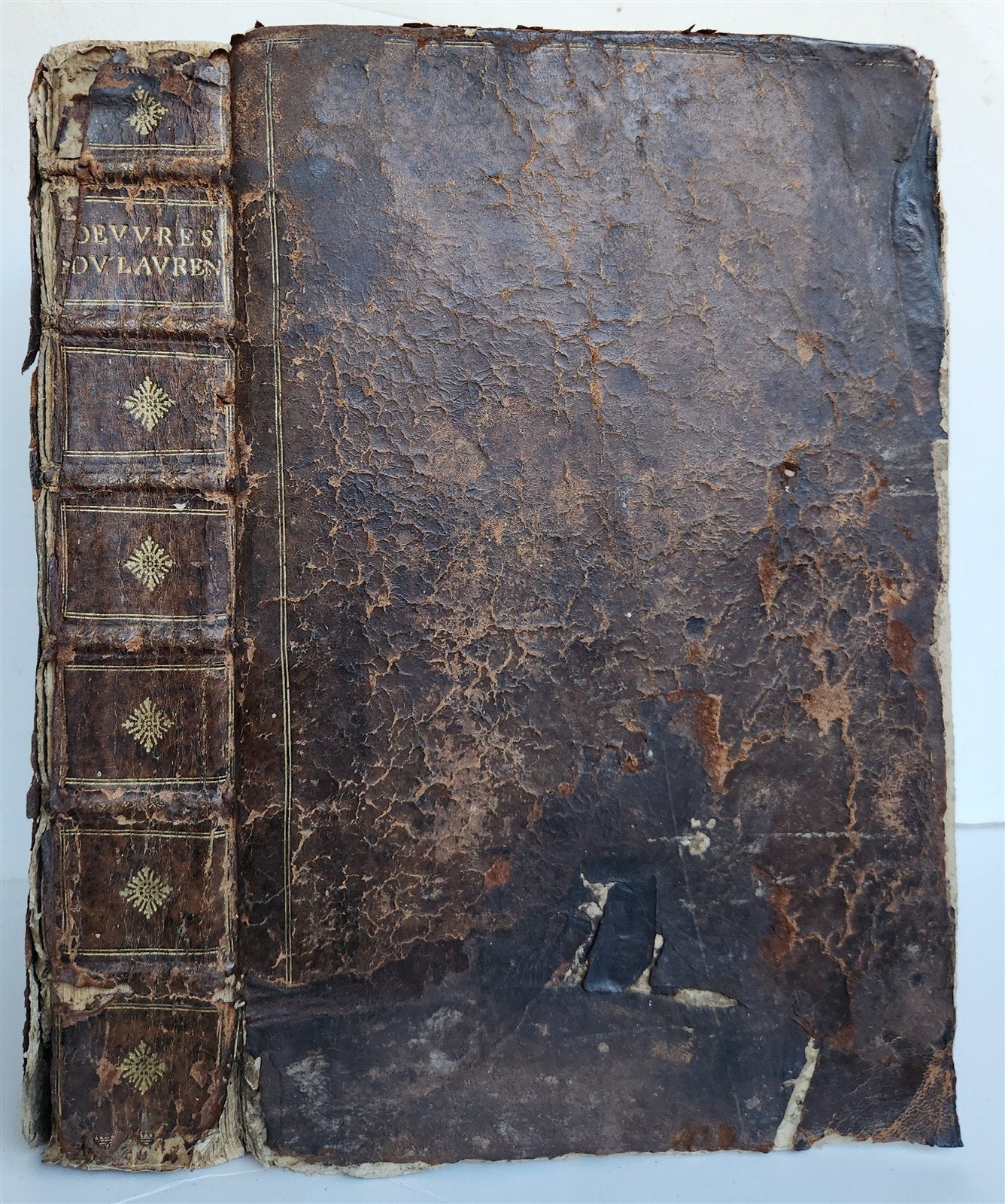 1646 ANATOMY ILLUSTRATED after VESALIUS antique FOLIO 17th CENTURY scarce