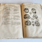 1646 ANATOMY ILLUSTRATED after VESALIUS antique FOLIO 17th CENTURY scarce