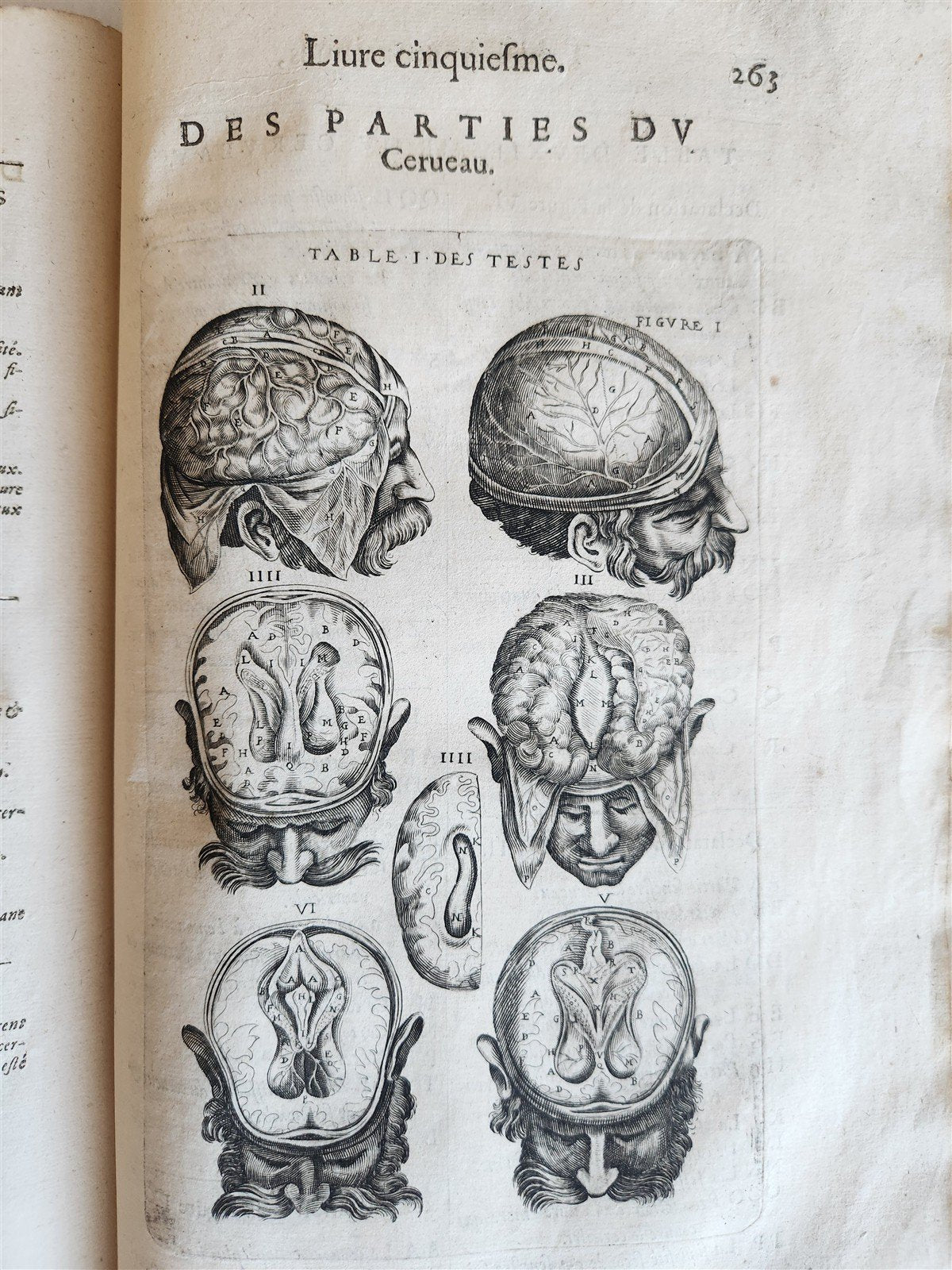 1646 ANATOMY ILLUSTRATED after VESALIUS antique FOLIO 17th CENTURY scarce