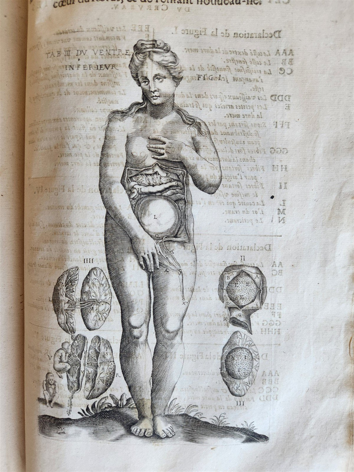1646 ANATOMY ILLUSTRATED after VESALIUS antique FOLIO 17th CENTURY scarce