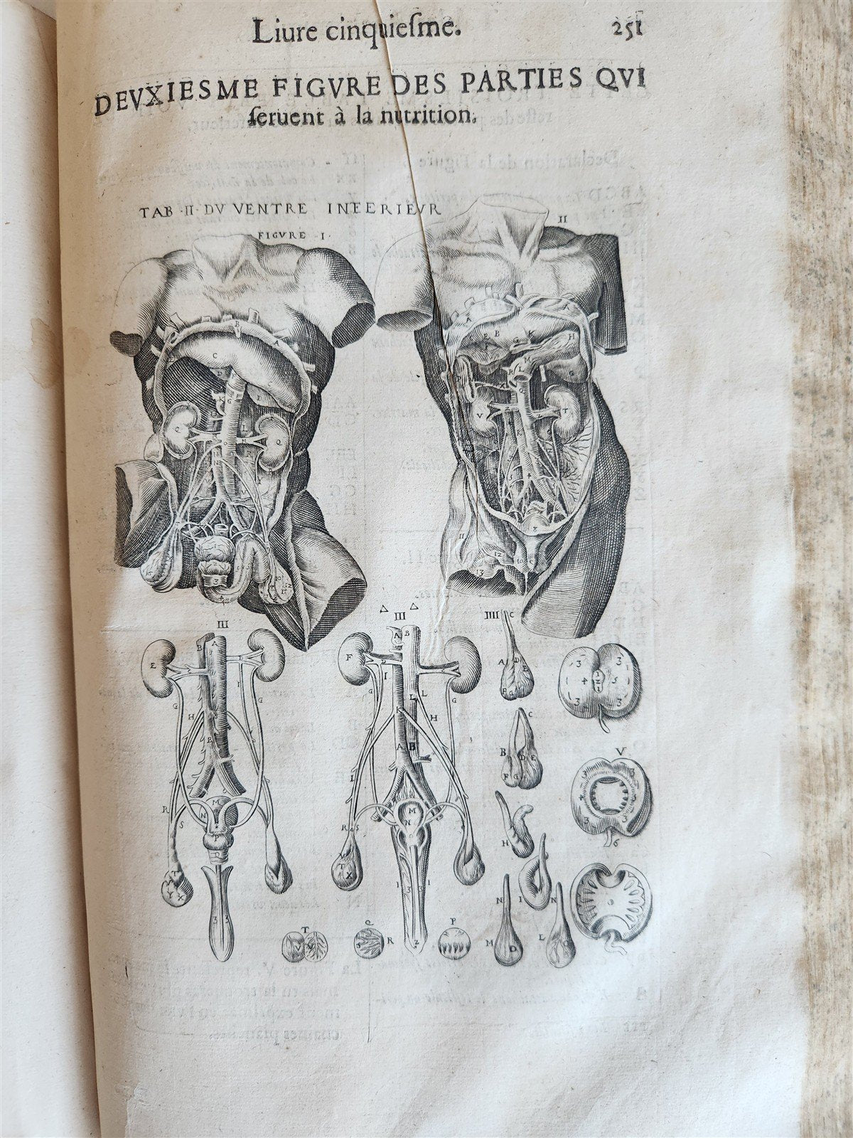 1646 ANATOMY ILLUSTRATED after VESALIUS antique FOLIO 17th CENTURY scarce