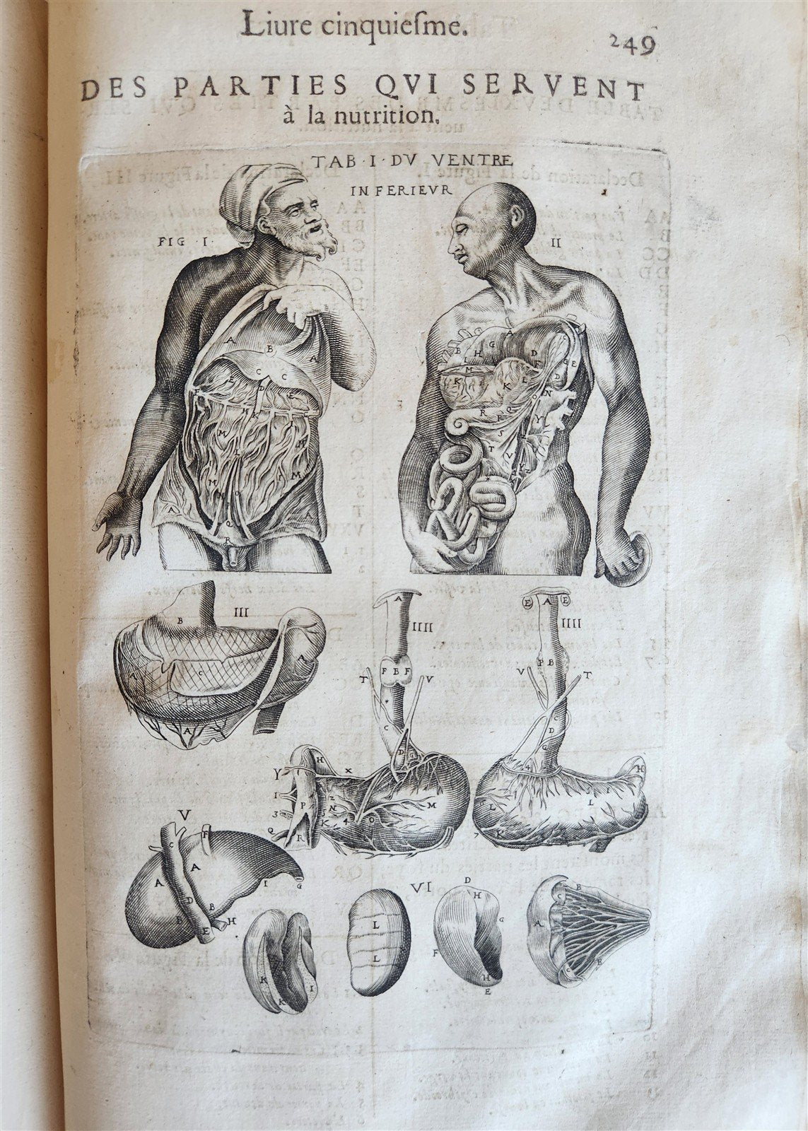 1646 ANATOMY ILLUSTRATED after VESALIUS antique FOLIO 17th CENTURY scarce