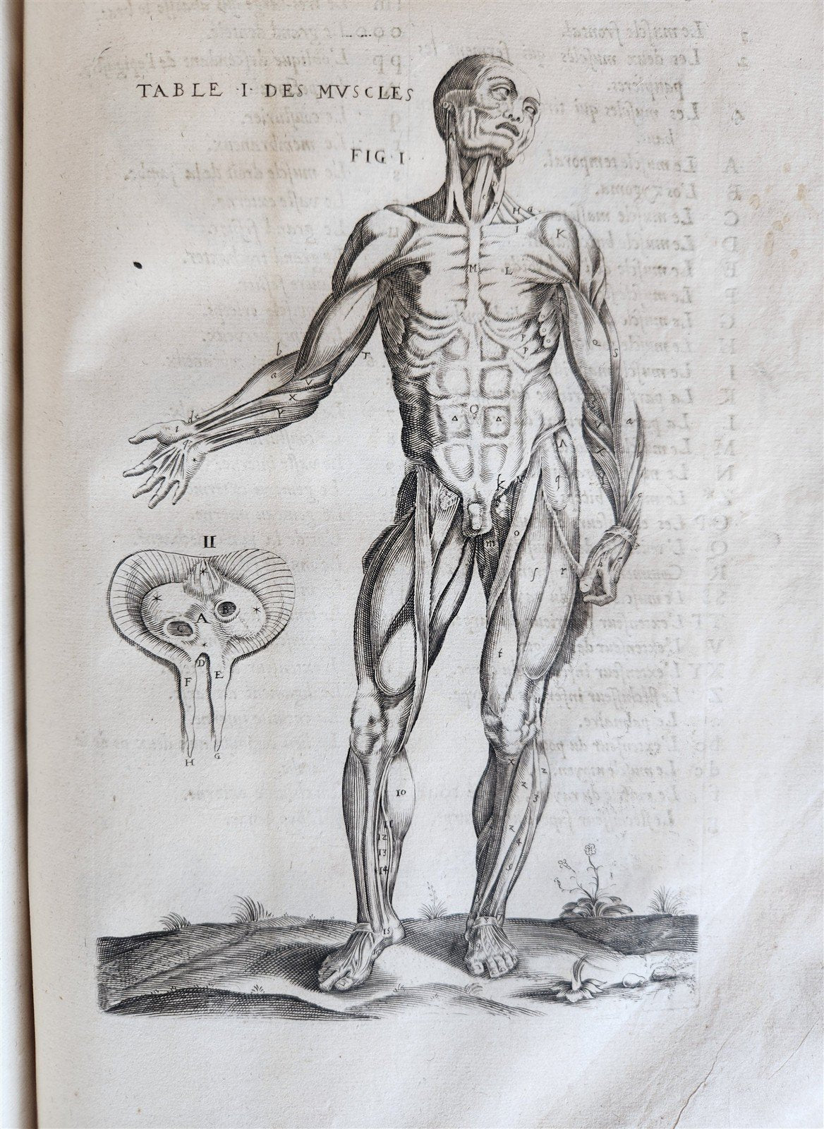 1646 ANATOMY ILLUSTRATED after VESALIUS antique FOLIO 17th CENTURY scarce