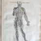 1646 ANATOMY ILLUSTRATED after VESALIUS antique FOLIO 17th CENTURY scarce