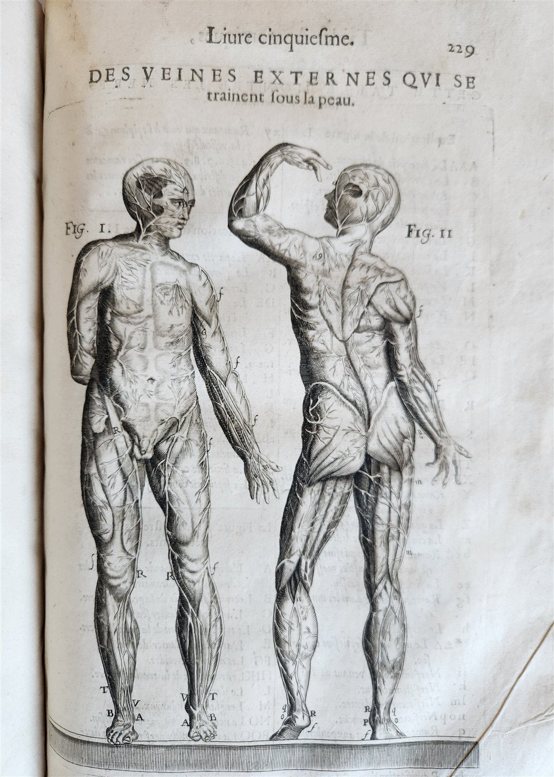 1646 ANATOMY ILLUSTRATED after VESALIUS antique FOLIO 17th CENTURY scarce