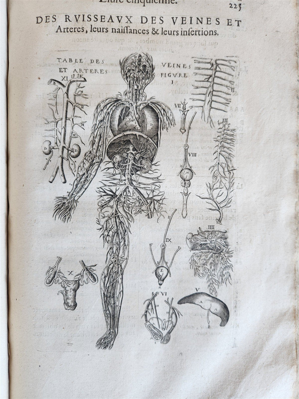 1646 ANATOMY ILLUSTRATED after VESALIUS antique FOLIO 17th CENTURY scarce