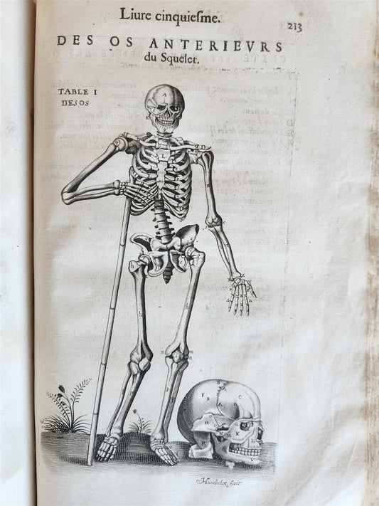 1646 ANATOMY ILLUSTRATED after VESALIUS antique FOLIO 17th CENTURY scarce