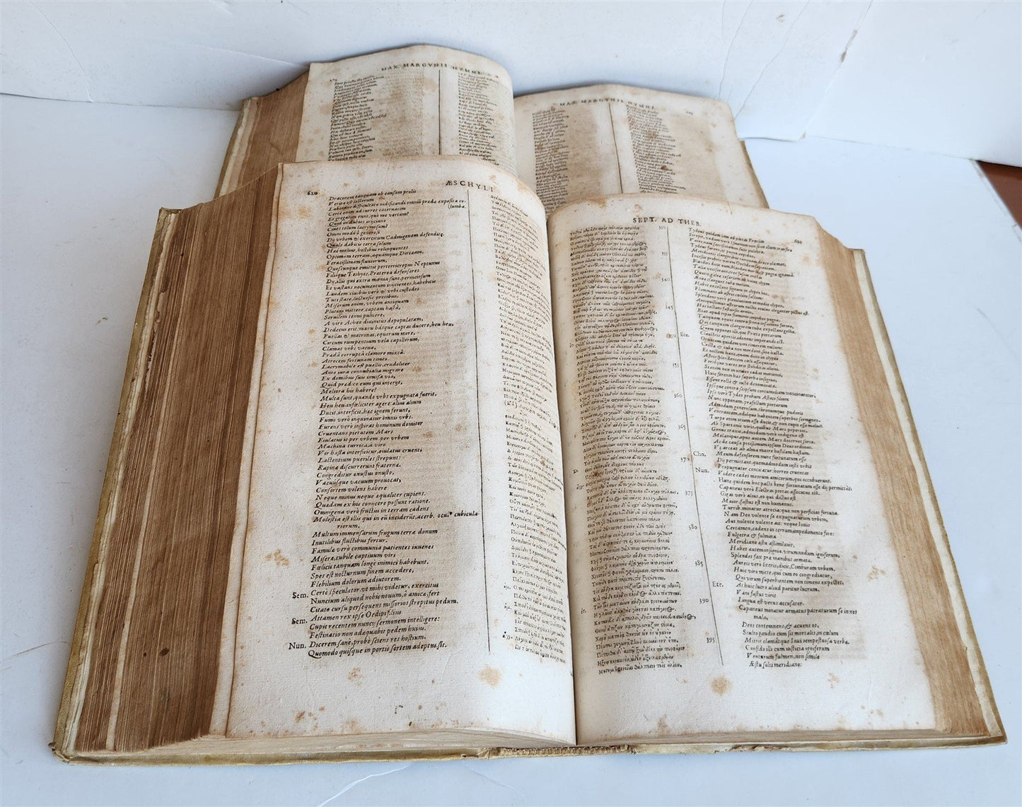 1614 ANCIENT GREEK POETRY 2 FOLIO VOLUMES antique VELLUM BOUND