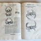 1605 ALDROVANDI TREATISE on MUSSELS SNAILS OCTOPUSES antique ILLUSTRATED FOLIO