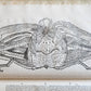 1605 ALDROVANDI TREATISE on MUSSELS SNAILS OCTOPUSES antique ILLUSTRATED FOLIO