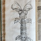 1605 ALDROVANDI TREATISE on MUSSELS SNAILS OCTOPUSES antique ILLUSTRATED FOLIO
