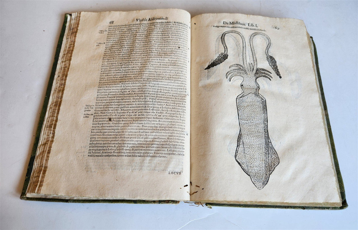 1605 ALDROVANDI TREATISE on MUSSELS SNAILS OCTOPUSES antique ILLUSTRATED FOLIO