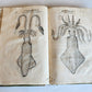 1605 ALDROVANDI TREATISE on MUSSELS SNAILS OCTOPUSES antique ILLUSTRATED FOLIO