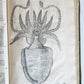1605 ALDROVANDI TREATISE on MUSSELS SNAILS OCTOPUSES antique ILLUSTRATED FOLIO